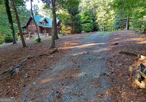 A home in Mineral Bluff