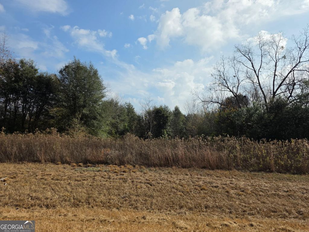 Photo of 6224 Newton Road, Albany, GA 31721 (MLS # 10660930)