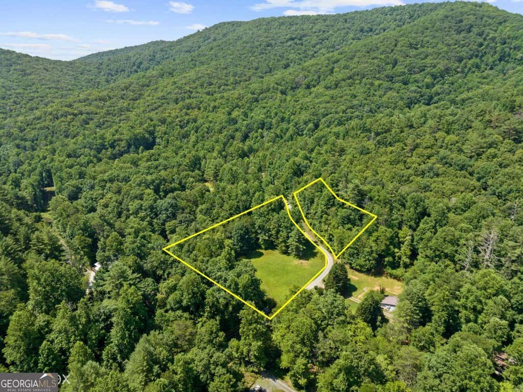 Photo of 8 Tipton Court, Cherry Log, GA 30522 (MLS # 10798904)