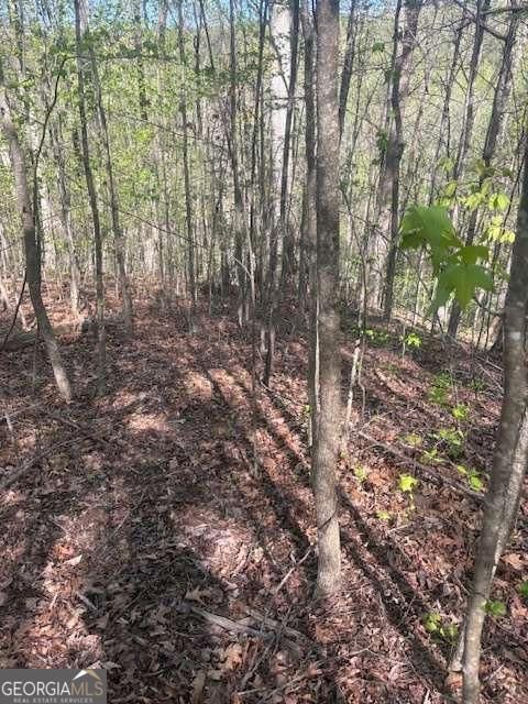 0 Heatherwood Way Talking Rock GA 30175