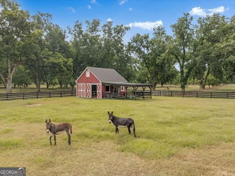 A home in Cordele