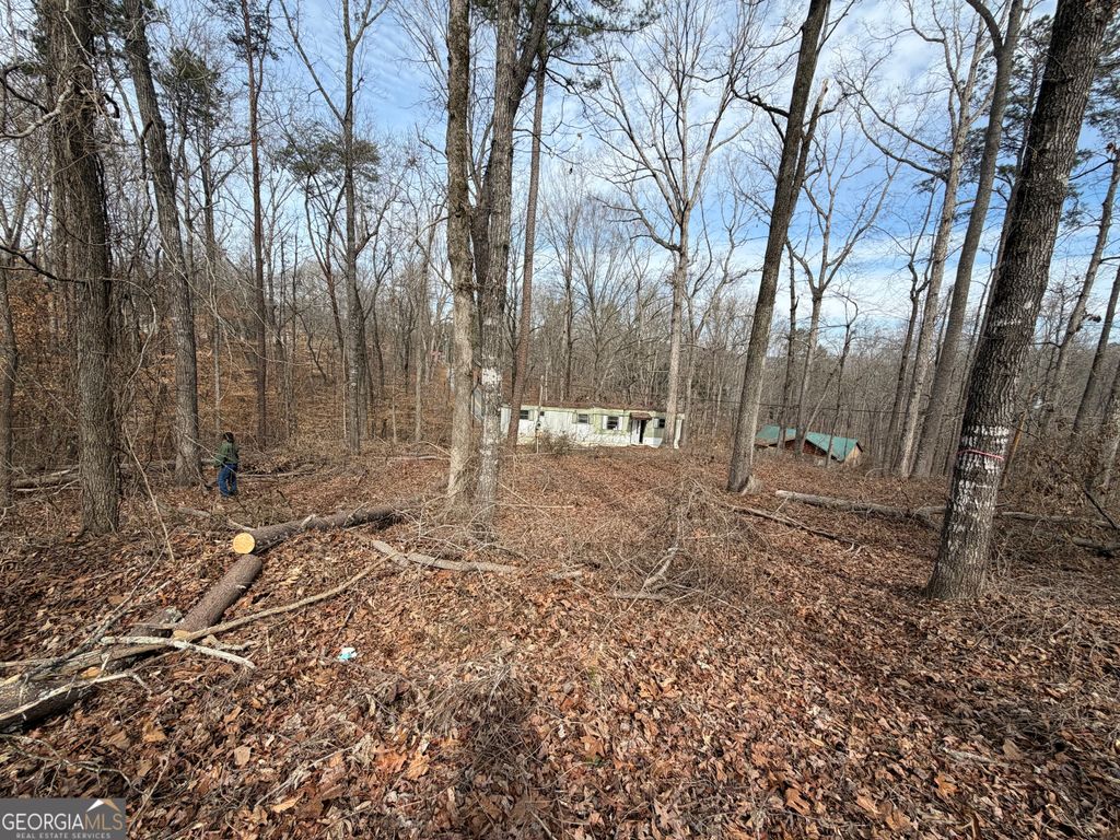 Photo of 94 Mockingbird Court, Toccoa, GA 30577 (MLS # 10692056)