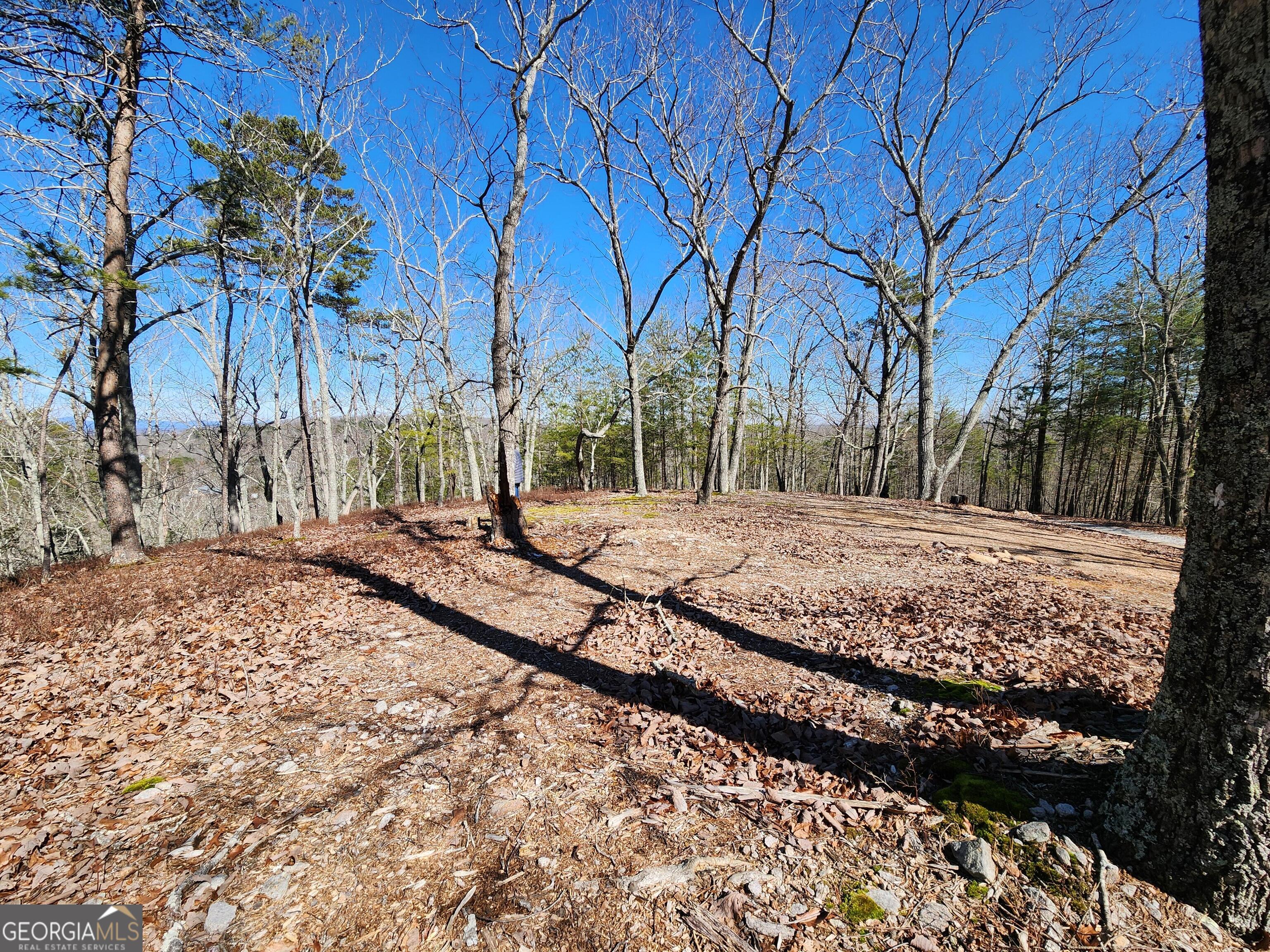 0 Nichols Cove DR