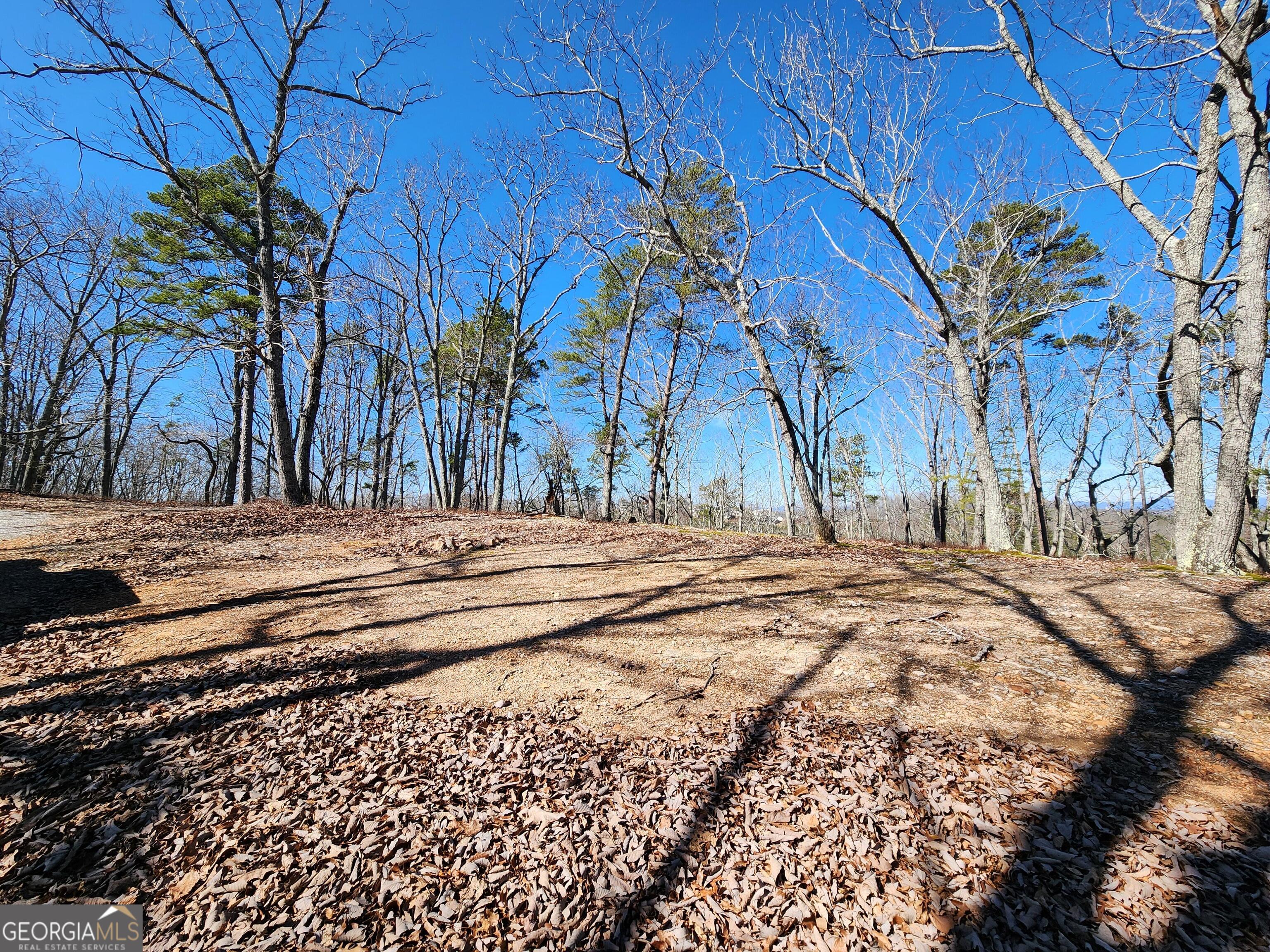 Beautiful, wooded 4.574 acres with an amazing mountain view on the very north end of Forsyth County. Great location for a new home. Across the street from Lake Lanier. Ten minutes from the North GA Premium Outlets, and GA-400.