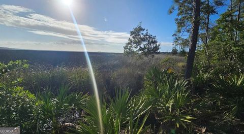 Photo of 2130 Isles Of St Marys Way #LOT 217, St. Marys, GA 31558 (MLS # 10670822)