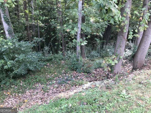 Photo of 4118 W Johnson Circle, Atlanta, GA 30341 (MLS # 10822917)