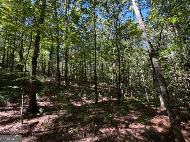 Photo of 305 Seneca Drive, Ellijay, GA 30540 (MLS # 10854846)