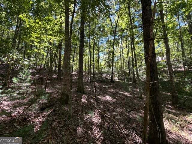 Photo of 305 Seneca Drive, Ellijay, GA 30540 (MLS # 10854846)