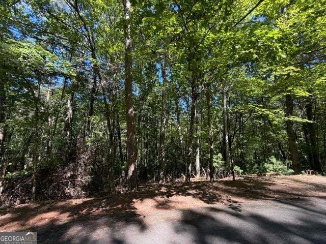 Photo of 305 Seneca Drive, Ellijay, GA 30540 (MLS # 10854846)