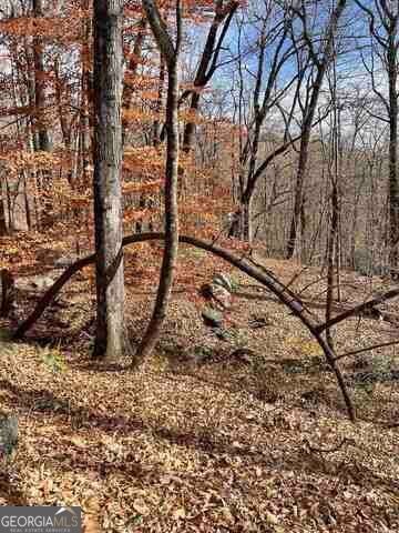 0 Yellow Trillium ESTS LOT 40