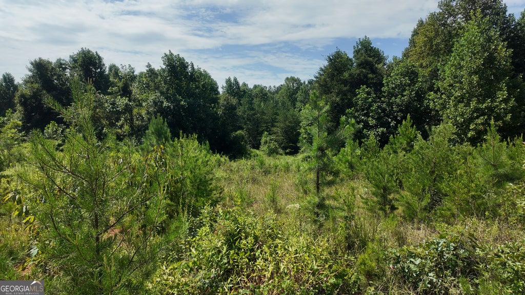 Photo of 108 Cody Road, Mount Airy, GA 30563 (MLS # 10823843)