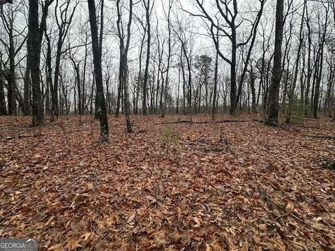 0 Northland TRL Ellijay GA 30536