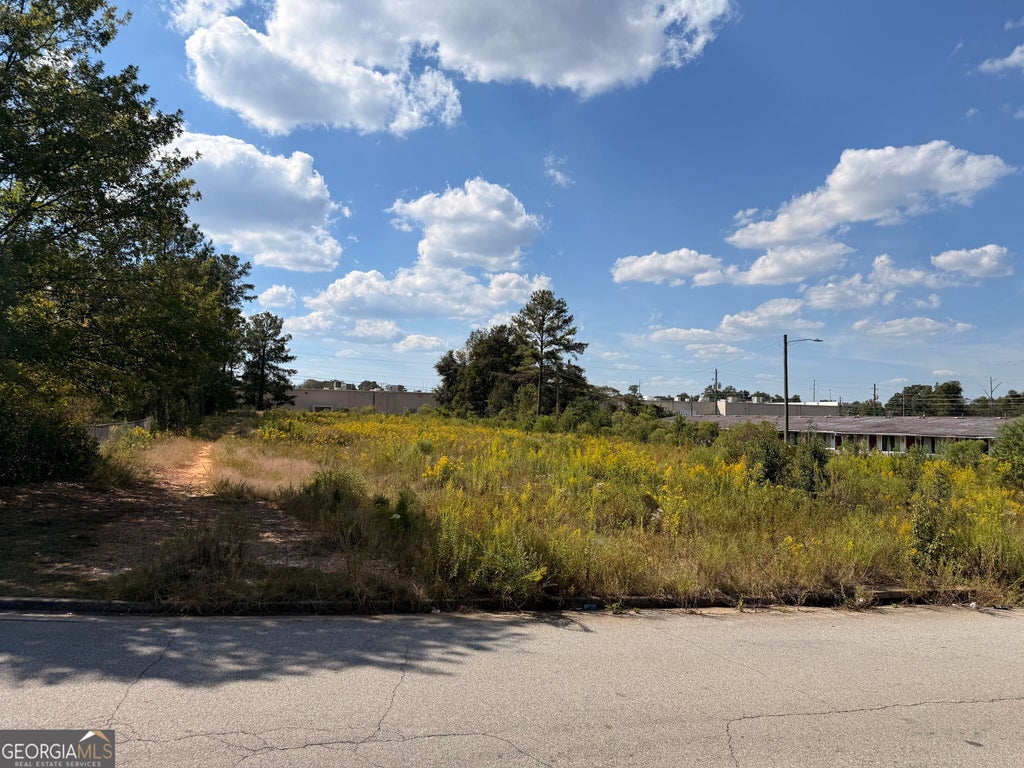 Photo of 0 Austin Drive, Warner Robins, GA 31088 (MLS # 10857349)