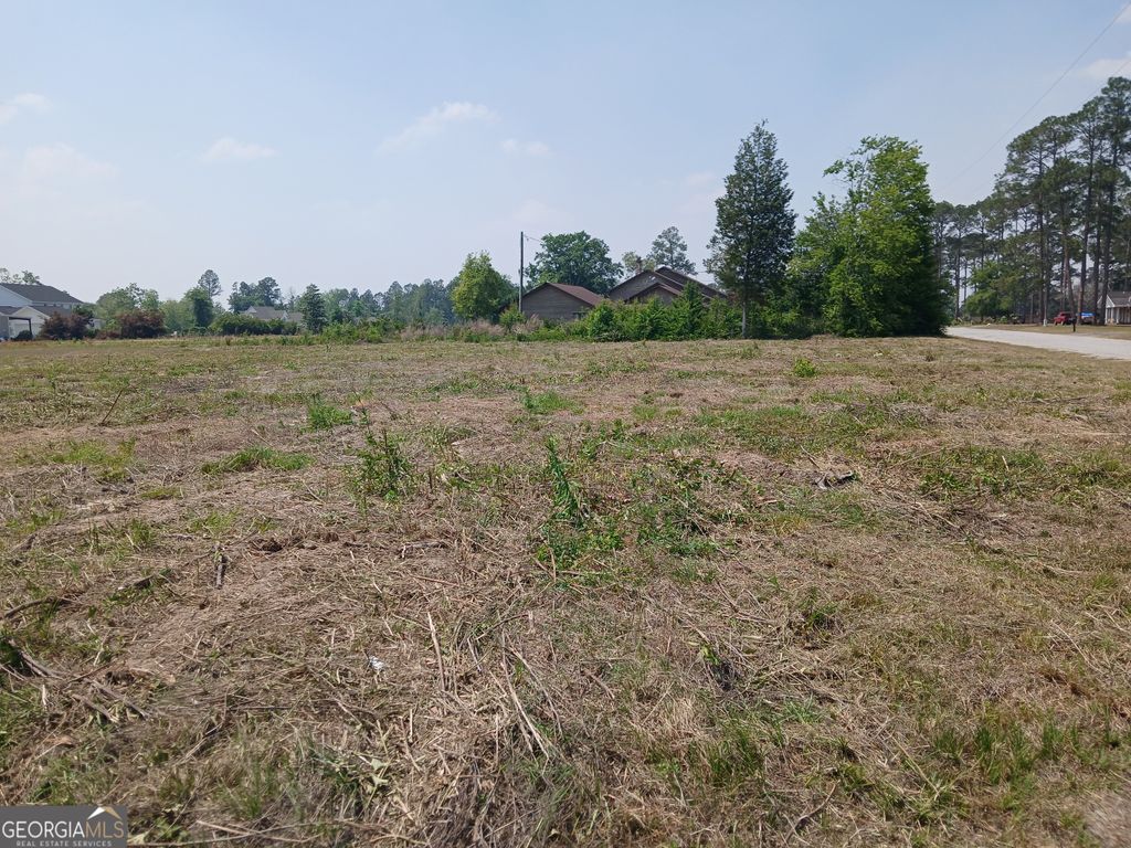 Photo of 0 Myra St, Alma, GA 31510 (MLS # 10739932)