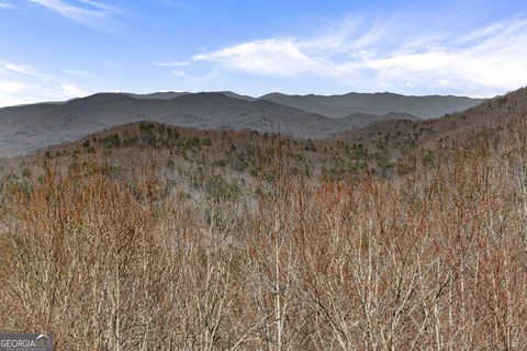 TRACT 3 Old Mill Mineral Bluff GA 30559