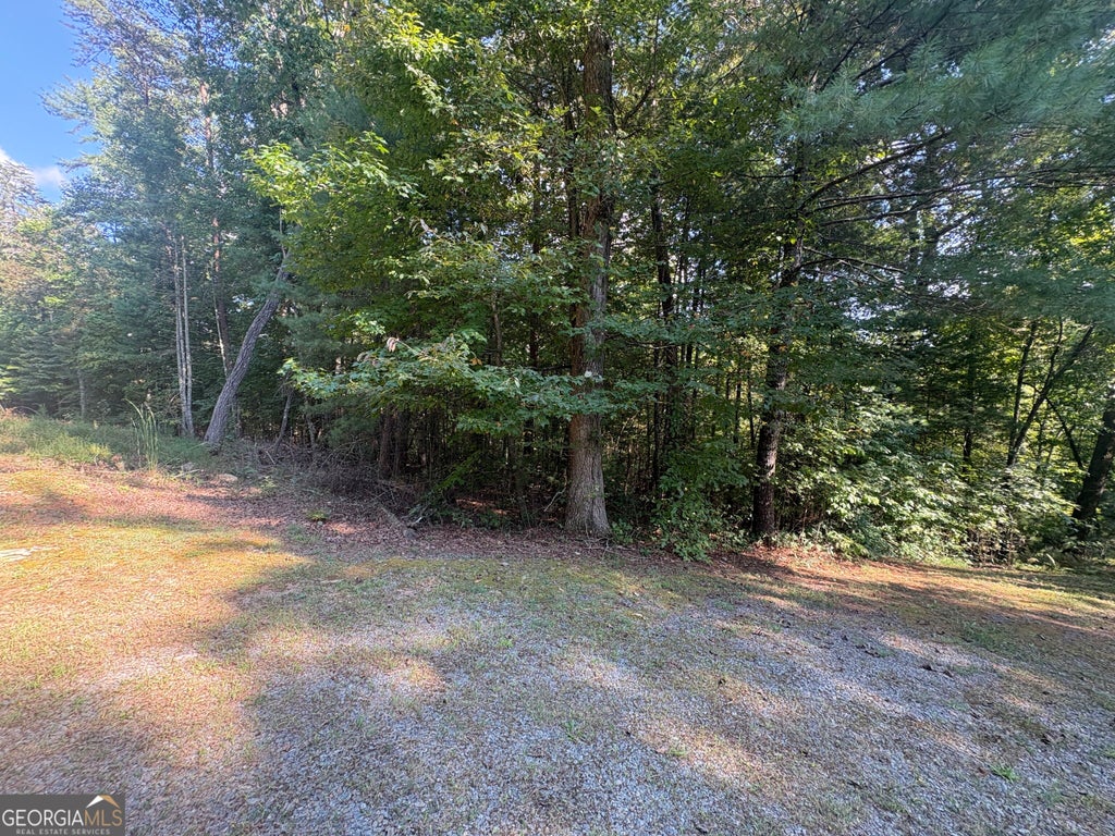 Photo of 000 Macedonia Church Road, Blue Ridge, GA 30513 (MLS # 10849580)