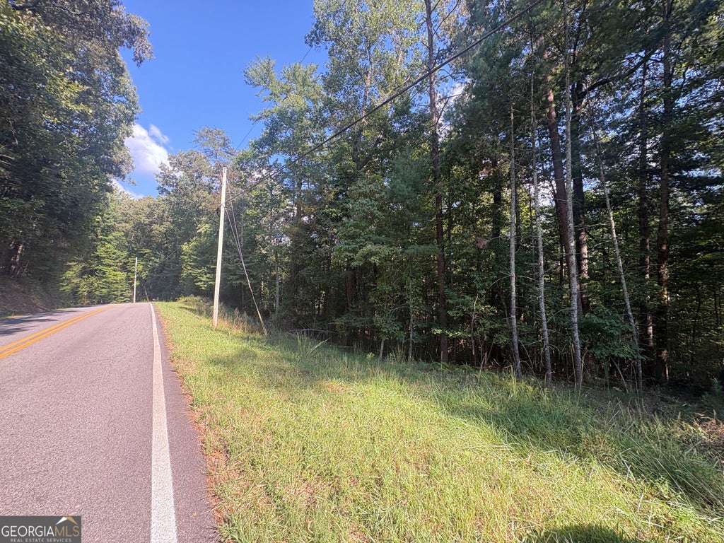 Photo of 000 Macedonia Church Road, Blue Ridge, GA 30513 (MLS # 10849580)