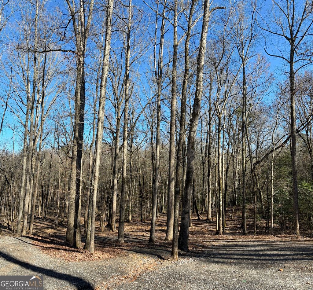 Photo of 1685 Hwy 54 E E, Fayetteville, GA 30214 (MLS # 10674504)