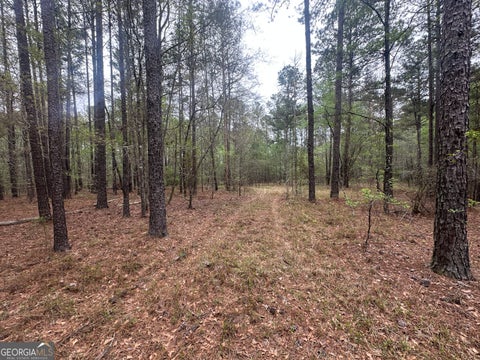 Photo of 0 Fred Chance Road, Perkins, GA 30442 (MLS # 10786379)
