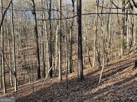 Photo of 2458 Montage Drive #2458, Ellijay, GA 30540 (MLS # 10658129)