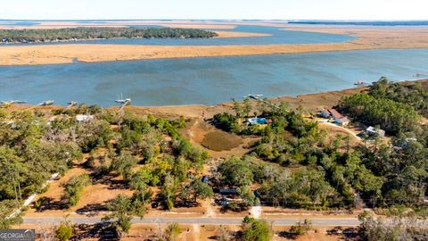 Photo of 0 Cattle Hammock Road, Midway, GA 31329 (MLS # 10702277)