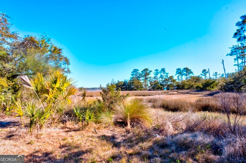 0 Cattle Hammock RD
