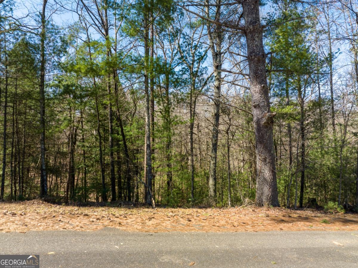 Welcome to Buckhorn Estates, where mountain living meets affordability! This .74-acre gem offers more than just a piece of land - it's an opportunity to embrace the tranquil beauty of the mountains without breaking the bank. Nestled between the charming towns of Ellijay and Blue Ridge, this lot boasts a seasonal mountain view that will leave you in awe. Imagine waking up to the crisp mountain air and sipping your morning coffee while soaking in the natural beauty that surrounds you. Although the lot is sloped, it is entirely buildable, allowing you to craft the mountain retreat of your dreams. And with all paved roads, high-speed internet, and cable TV available, you can enjoy modern conveniences without sacrificing the serene mountain lifestyle. But the perks don't stop there. Buckhorn Estates offers a plethora of amenities, including a picturesque river park perfect for picnics and leisurely strolls, an 8-acre fishing lake for anglers of all skill levels, and the added bonus of being able to cruise over to Whitepath Golf Course in your very own golf cart. With an 18-hole course open to the public, you'll never be far from a day on the green. What's more, this community is just a short 10-minute drive to town, ensuring easy access to shops, restaurants, and entertainment. And for those aged 65 and over, take advantage of Gilmer County's generous tax policy - no school tax for full-time residents.