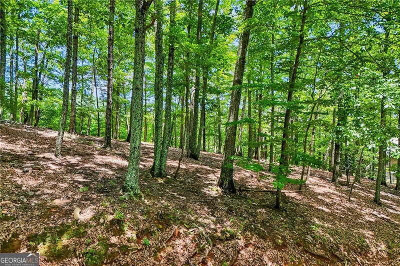 Photo of 208 Columbine Drive, Big Canoe, GA 30143 (MLS # 10790476)