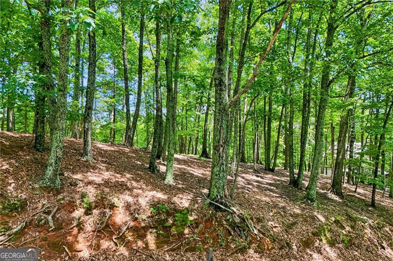 Photo of 208 Columbine Drive, Big Canoe, GA 30143 (MLS # 10790476)