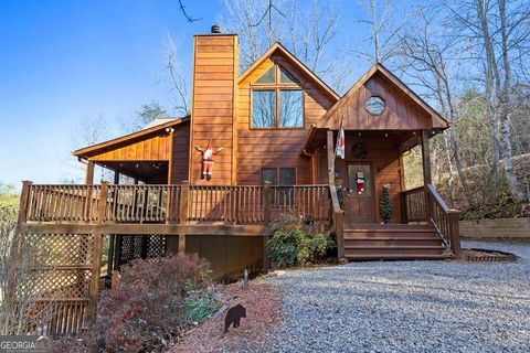 A home in Mineral Bluff