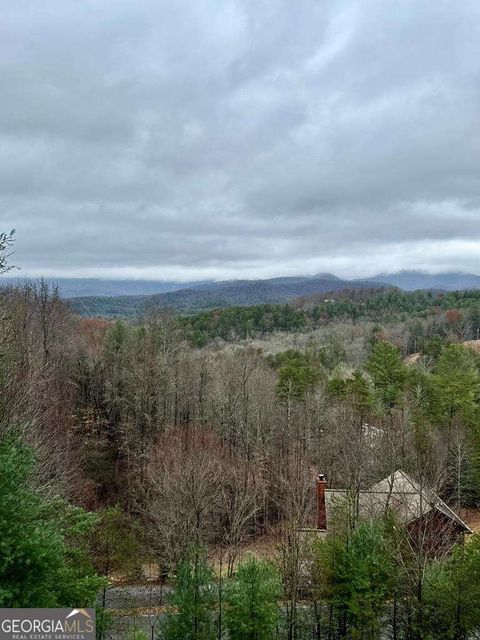 A home in Mineral Bluff