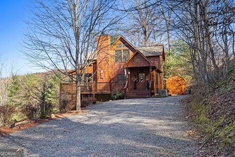 A home in Mineral Bluff