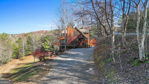 A home in Mineral Bluff