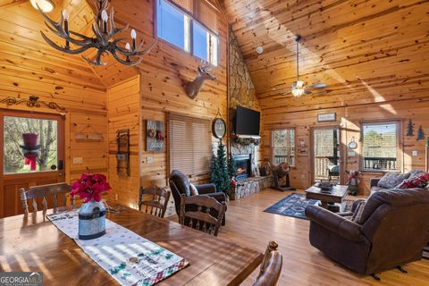 A home in Mineral Bluff