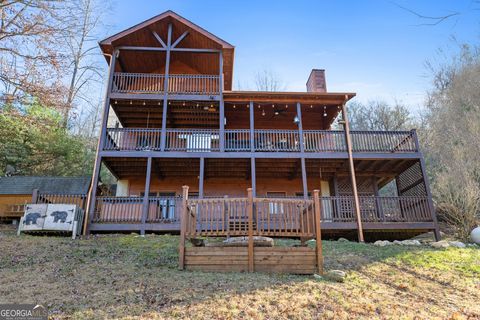 A home in Mineral Bluff