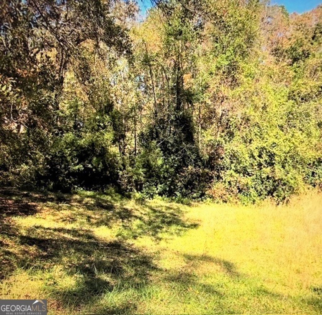 Photo of 0 Brookwood Circle, Elberton, GA 30635 (MLS # 10704557)