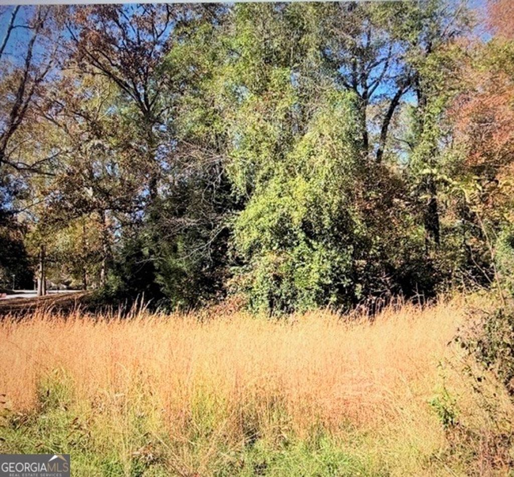 Photo of 0 Brookwood Circle, Elberton, GA 30635 (MLS # 10704557)