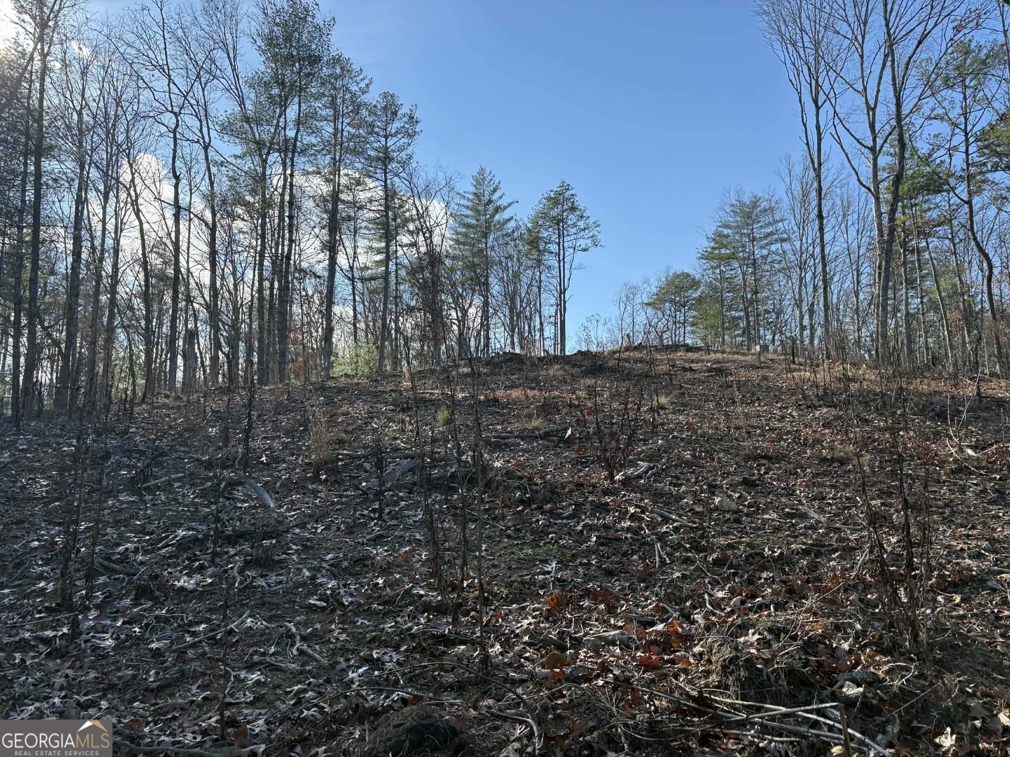 LOT 86 Lookout Ridge