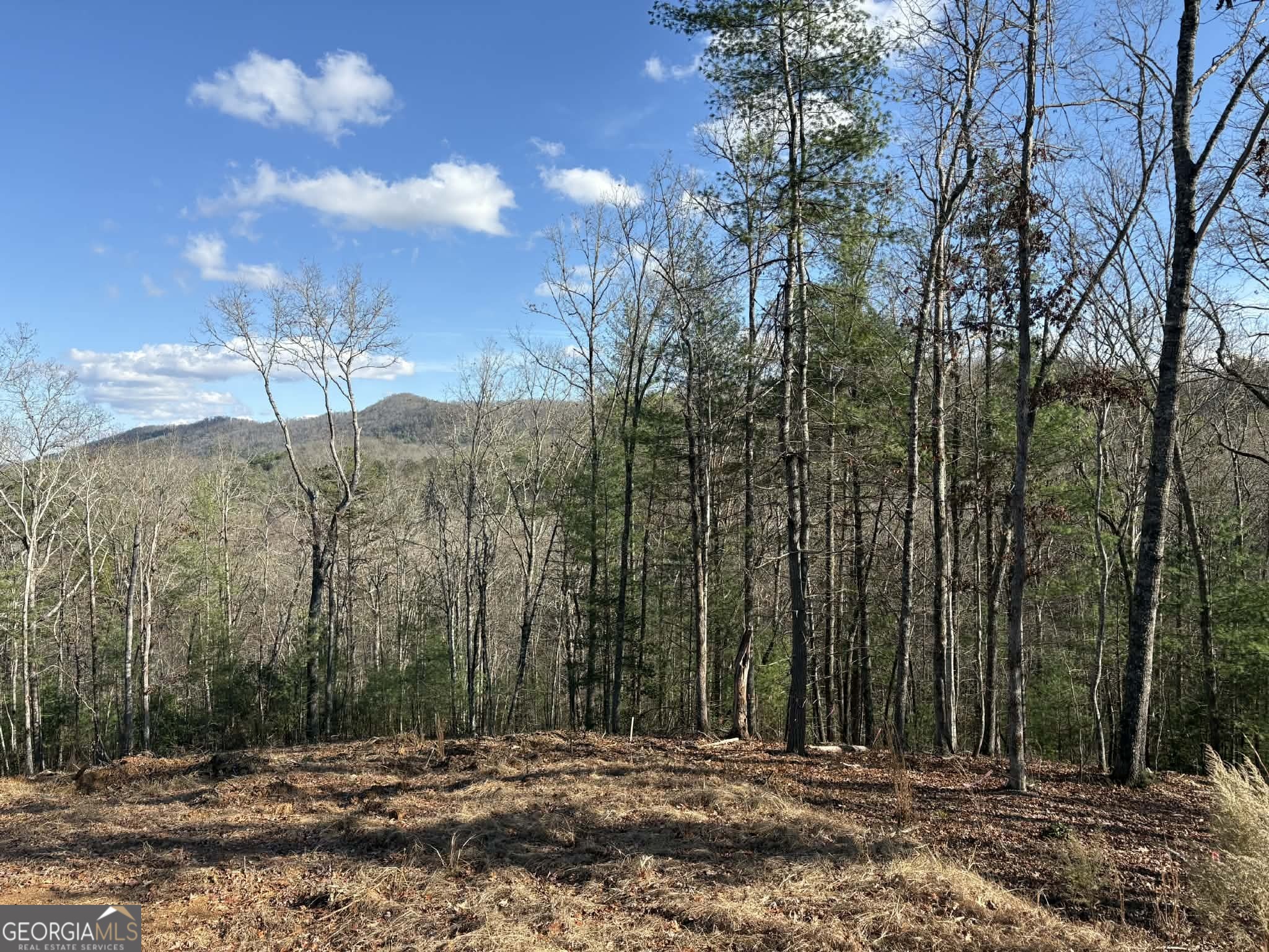 LOT 86 Lookout Ridge