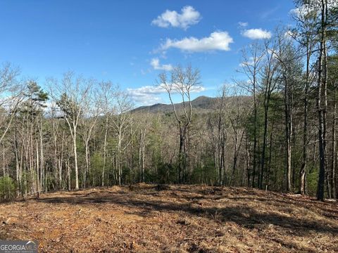 LOT 86 Lookout Ridge Mineral Bluff GA 30559
