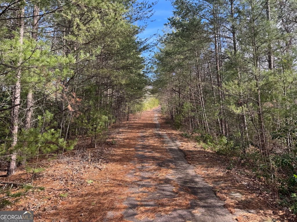 Photo of 0 Mountain Lion Trail, Sautee Nachooche, GA 30571 (MLS # 10691112)