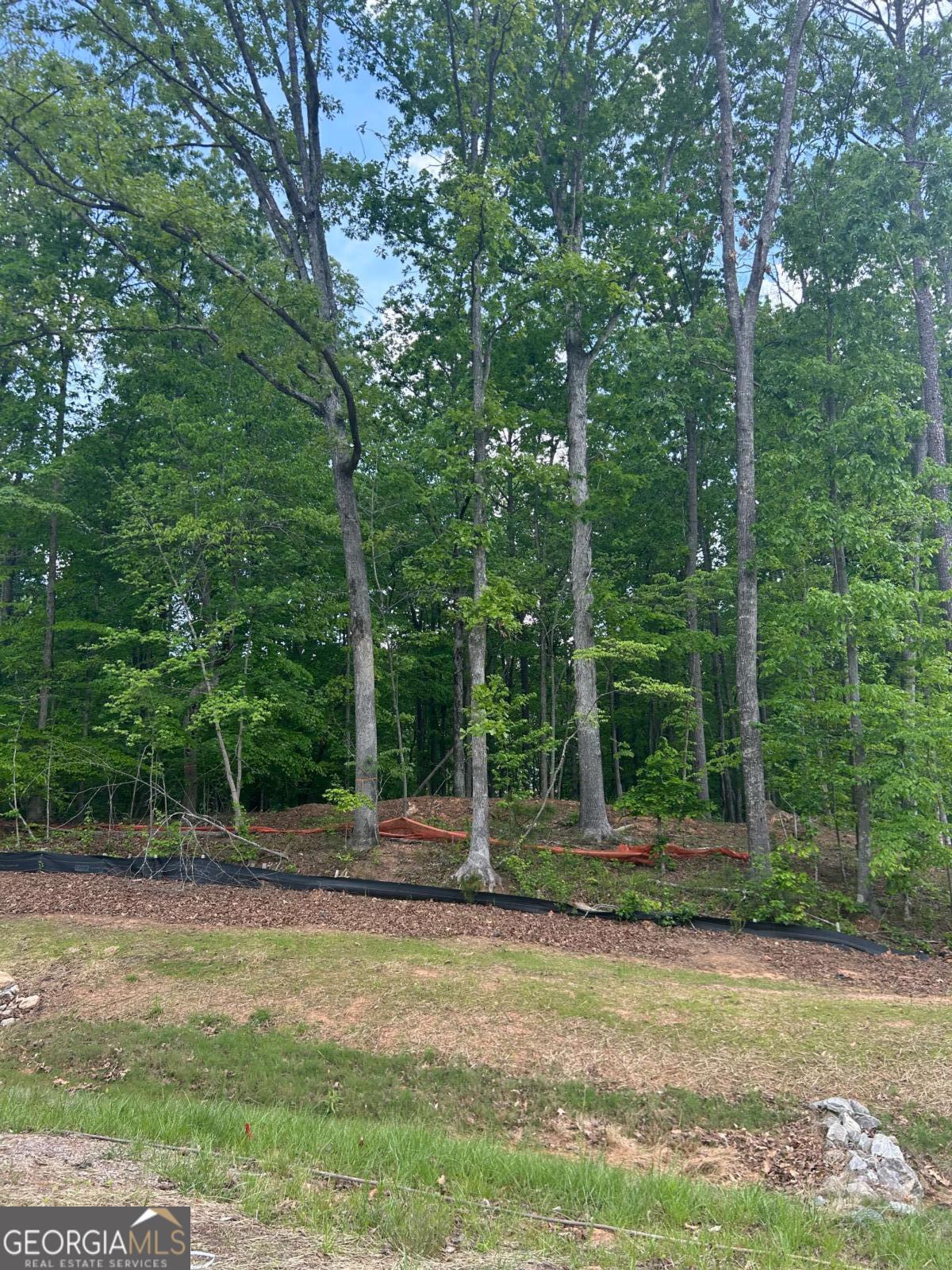 Thompson Estates - Land