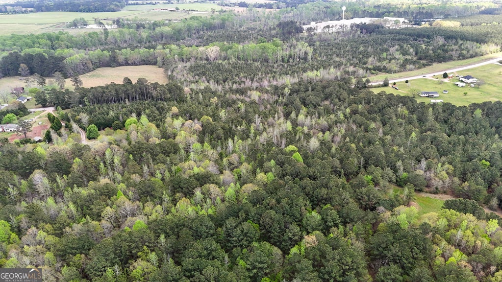 Photo of 0 Hamilton Road, Pine Mountain, GA 31822 (MLS # 10870084)