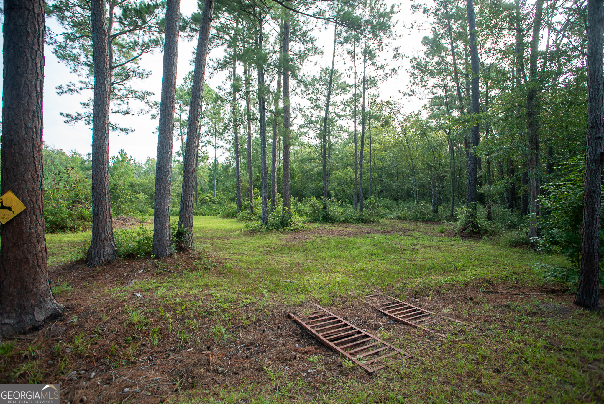 1278 Arthur Nuburn RD