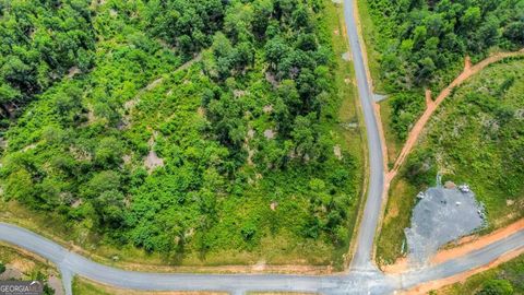 LOT 128 Twisted Oak RD Talking Rock GA 30175
