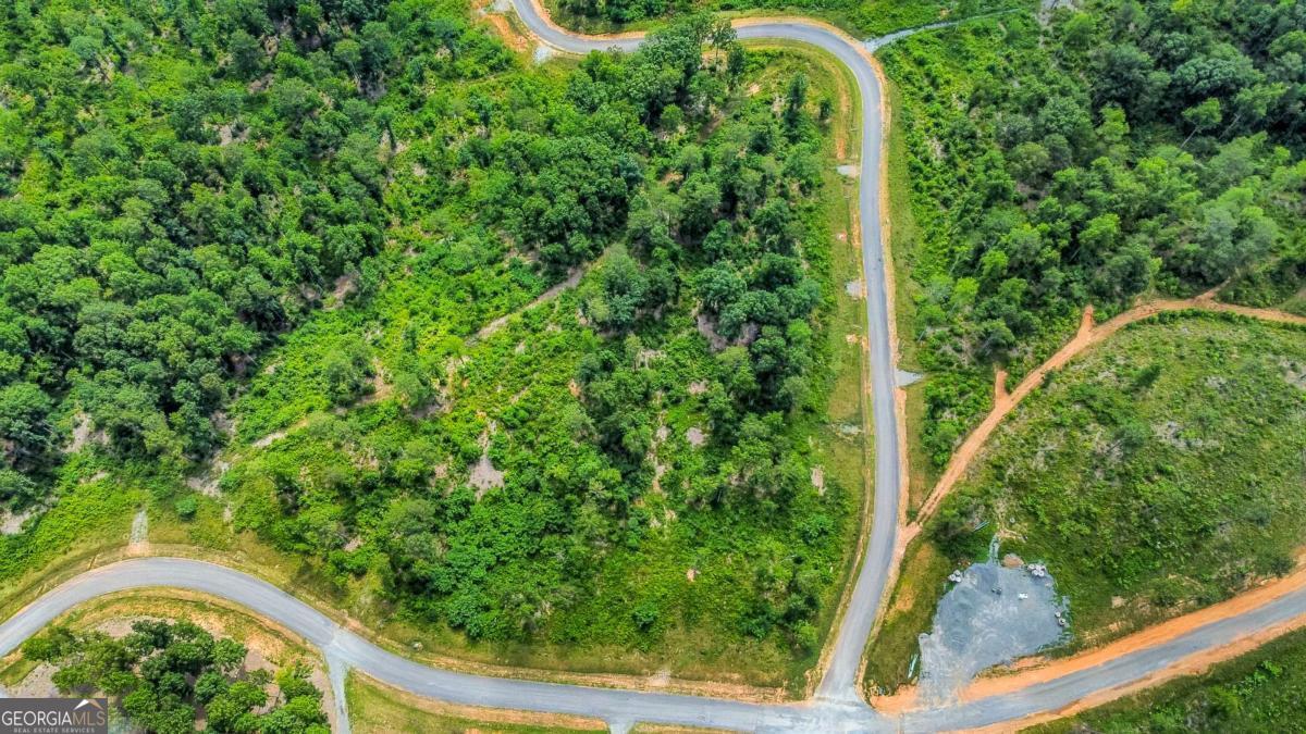 LOT 128 Twisted Oak RD