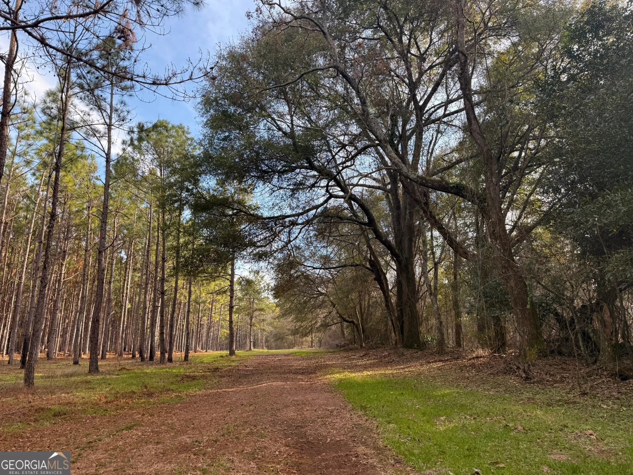014 Hwy 45, Plains, GA, 31780