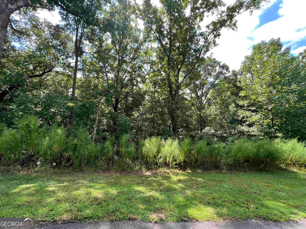 Photo of 187 Northshore Drive, Cleveland, GA 30528 (MLS # 10871080)