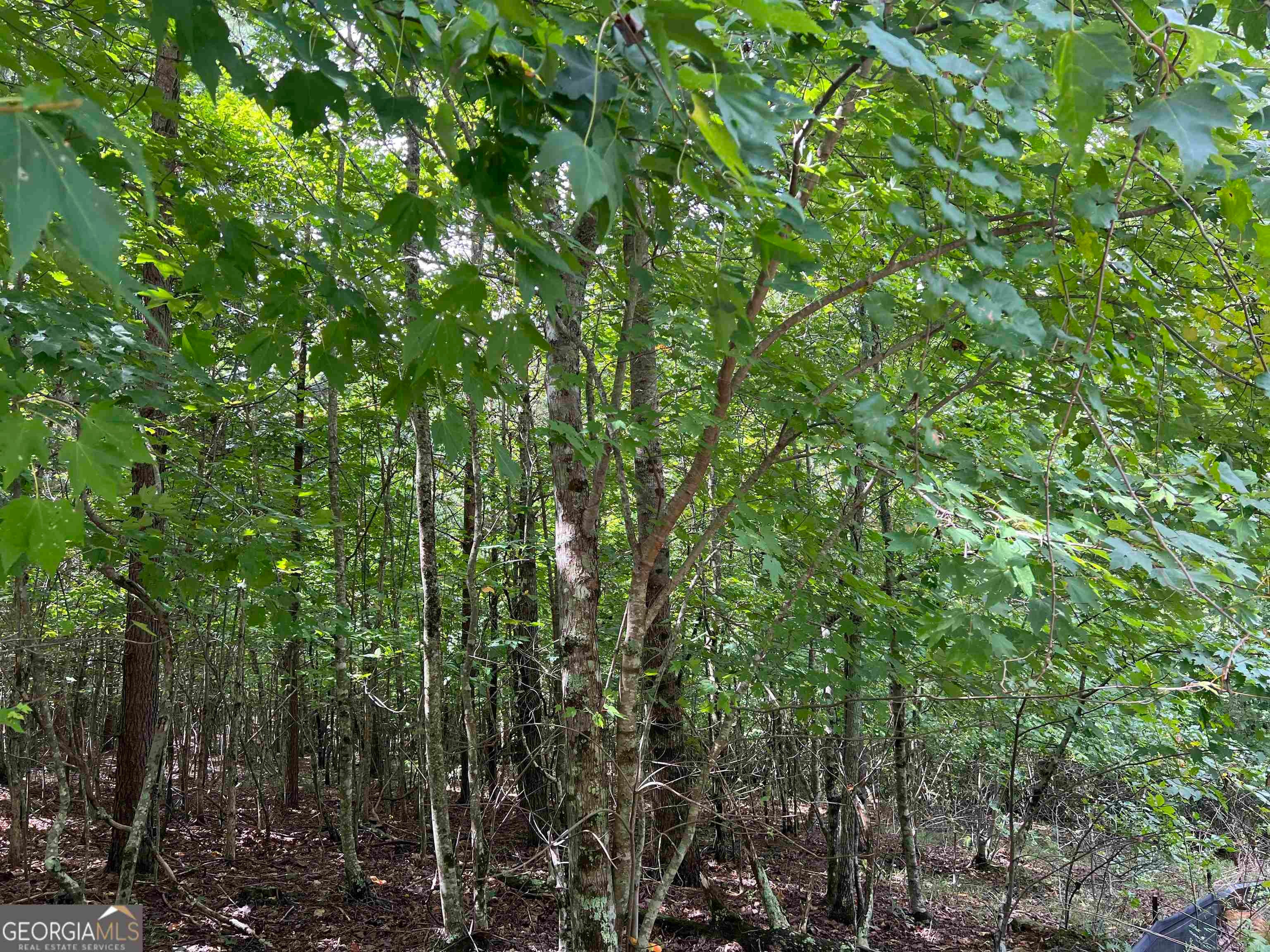 LOT 187 Northshore DR