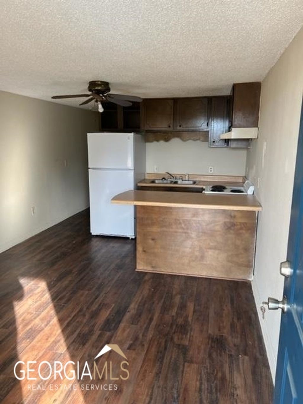 Photo of 123 Lanier Drive #02, Statesboro, GA 30458 (MLS # 10678311)